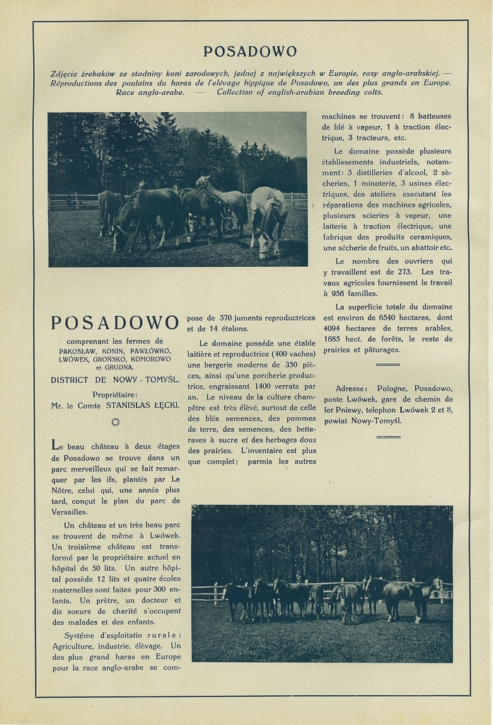 151 posadowo.jpg